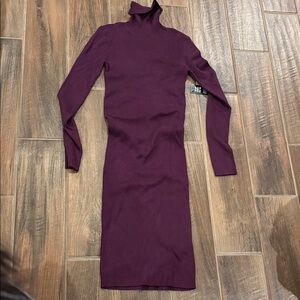 Express Long Sleeve Plum Dress